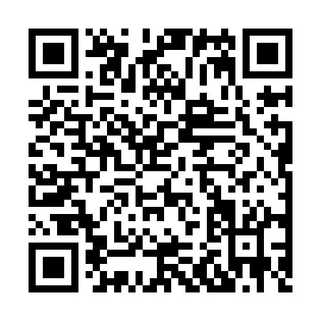 QR code for H229A