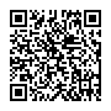 QR code for H233Q