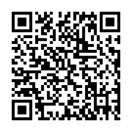 QR code for H243T