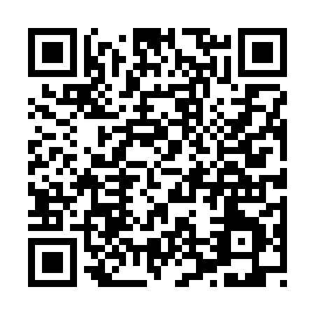 QR code for H243X