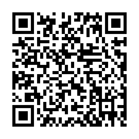 QR code for H249P