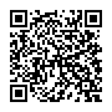 QR code for H266AU