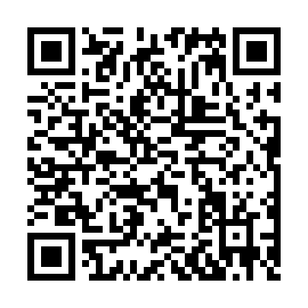 QR code for H273N