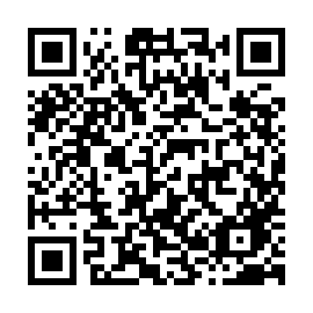 QR code for H29 9HG