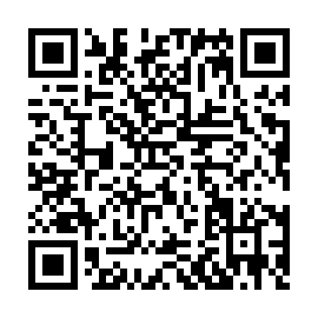QR code for H290X