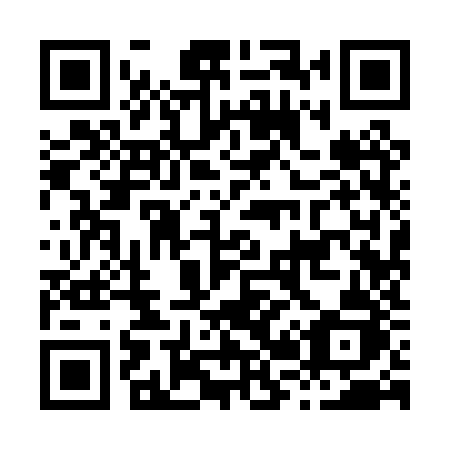 QR code for H290ZJ