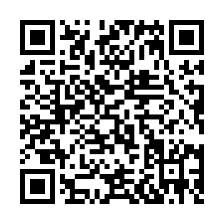 QR code for H291I