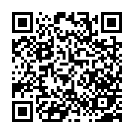 QR code for H293P