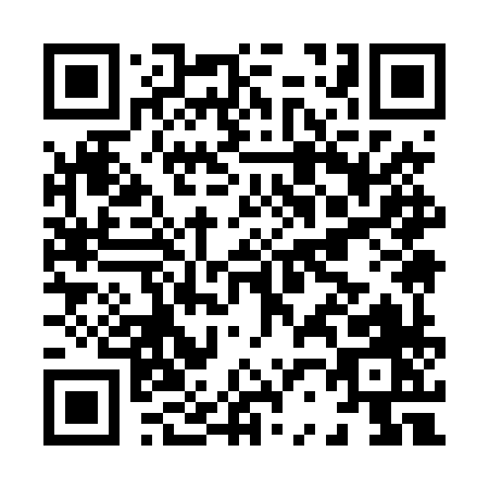 QR code for H294X