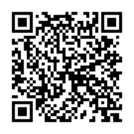 QR code for H296FI