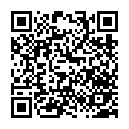 QR code for H296N