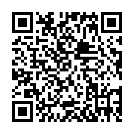 QR code for H297U