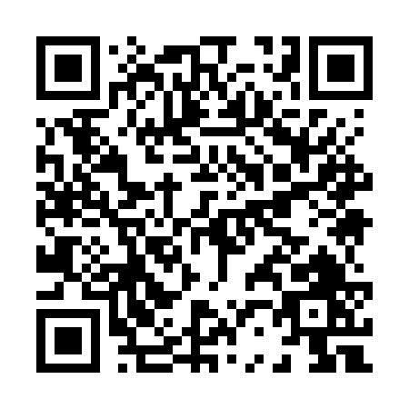 QR code for H297V
