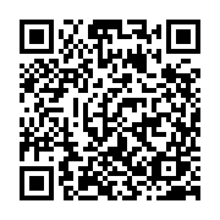 QR code for plate H29 9ES