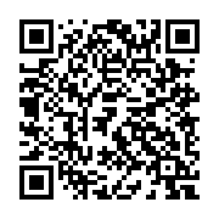 QR code for plate H30 0IC