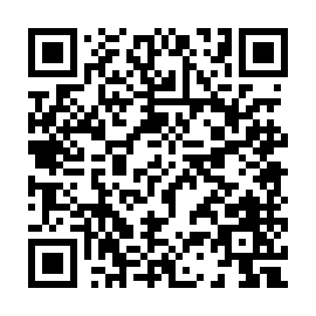 QR code for H300M