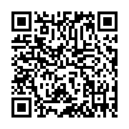 QR code for H300S