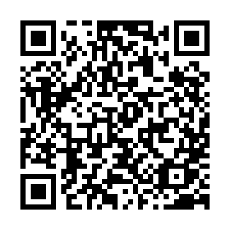 QR code for H311LQ