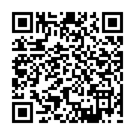 QR code for H313K