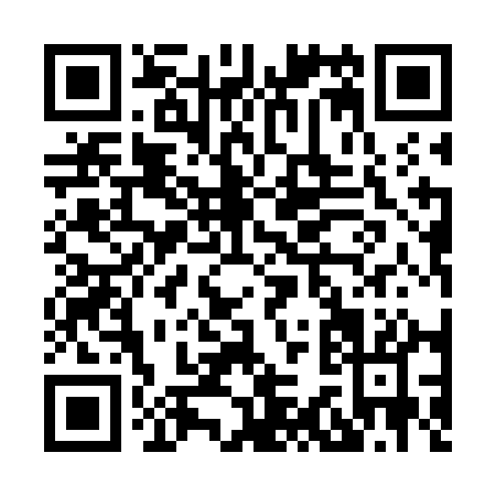 QR code for H317A