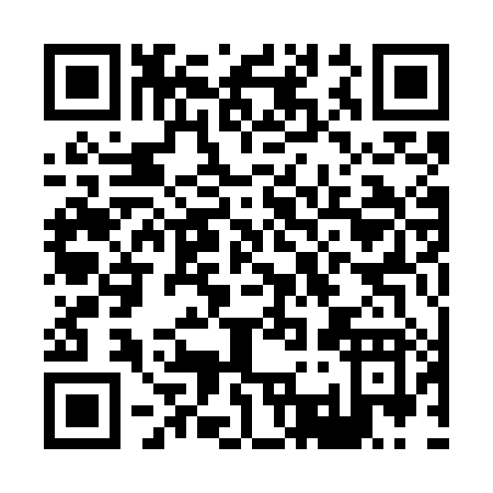 QR code for H317H