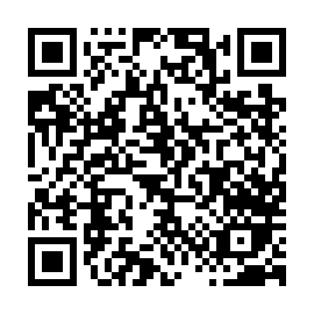 QR code for H317L