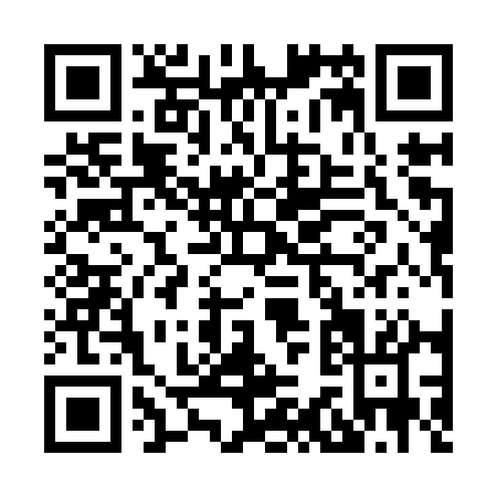 QR code for H319Q
