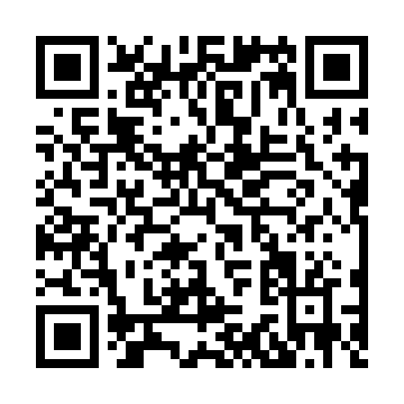 QR code for H333B