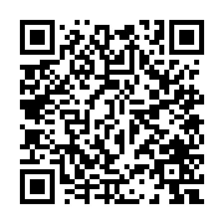 QR code for H335N