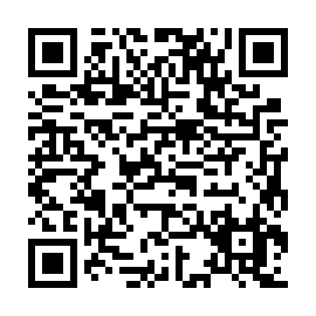 QR code for H336Z
