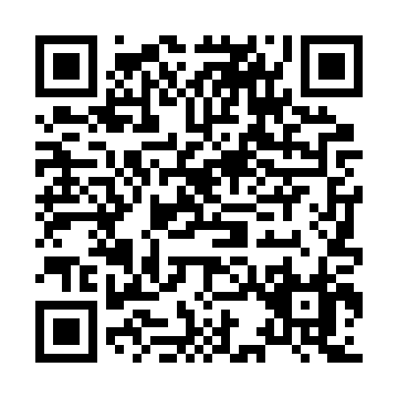 QR code for H342P