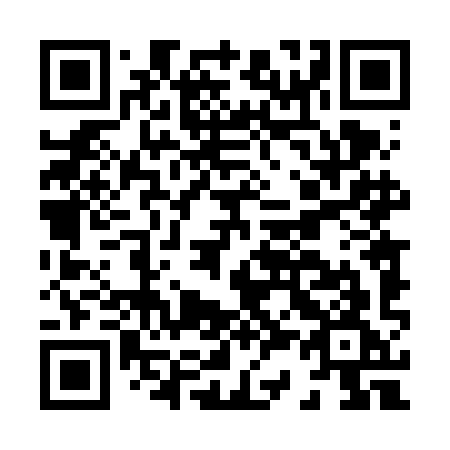 QR code for H346IG