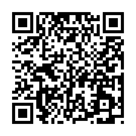 QR code for H375G