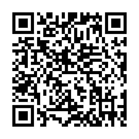 QR code for H381F