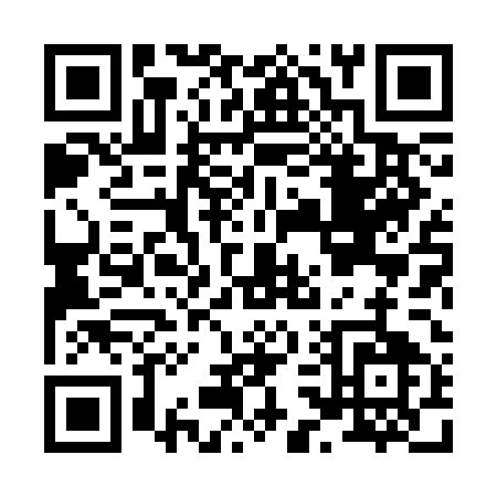 QR code for H383E