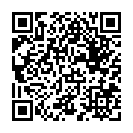 QR code for H383Z