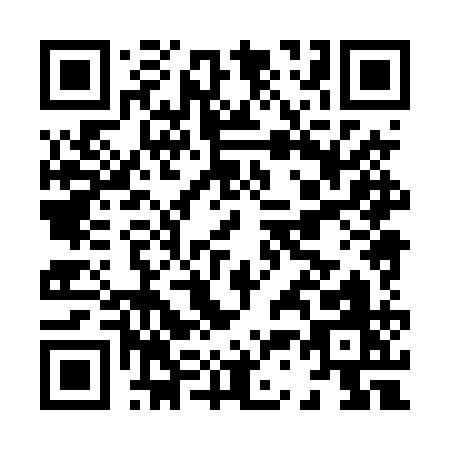 QR code for H384Q