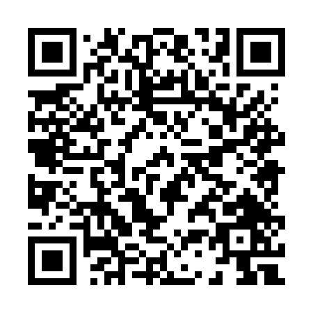 QR code for H386T