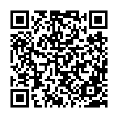 QR code for H386VV