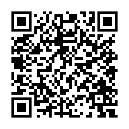 QR code for H388P