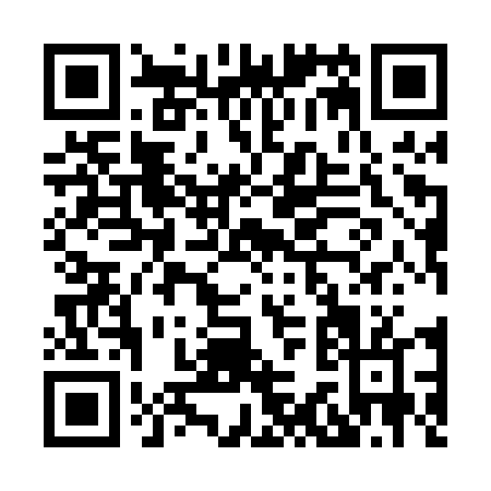 QR code for H390T