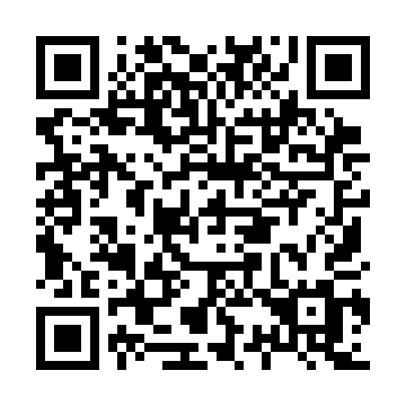 QR code for H393AM