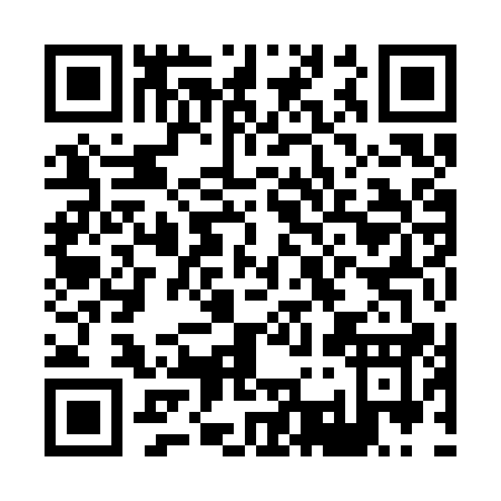 QR code for H393Q