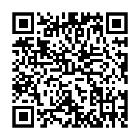 QR code for H398L