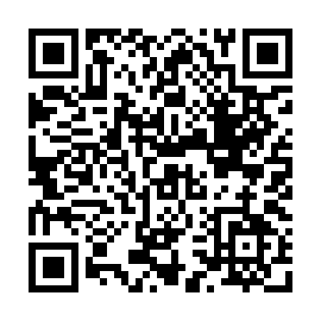 QR code for H399I