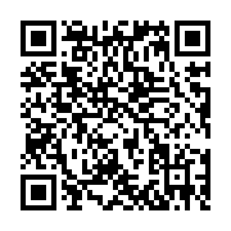 QR code for H399Z