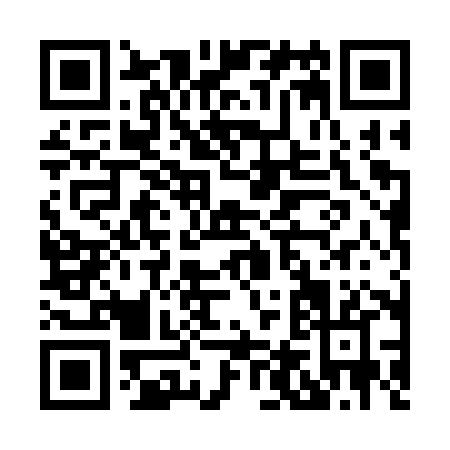 QR code for H403X