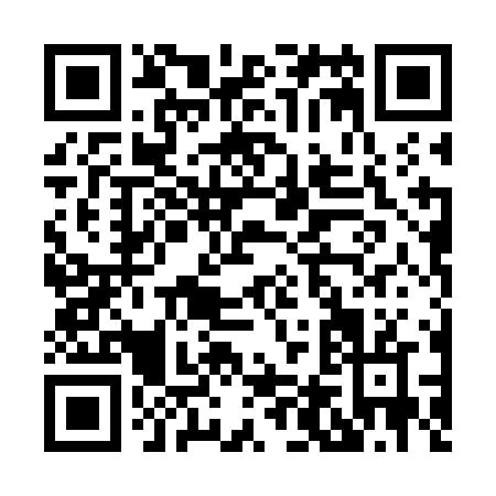 QR code for H407N