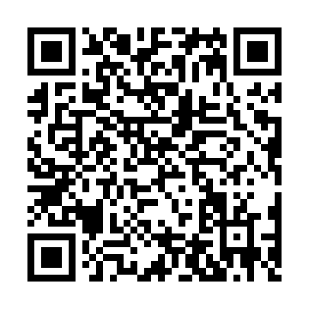QR code for H410V