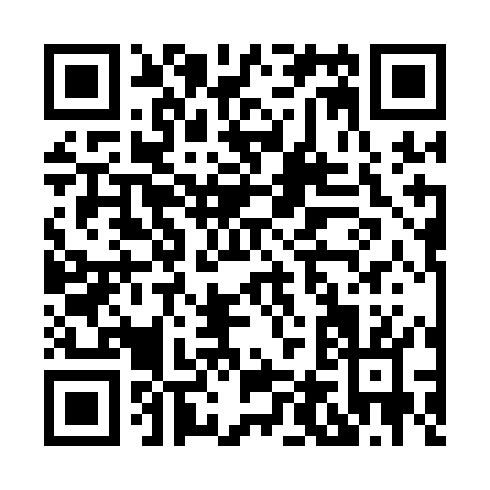 QR code for H431O